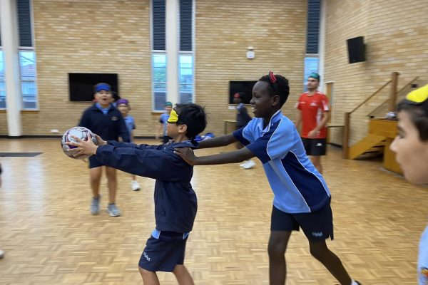 Sports as a Tool for Social Inclusion and Diversity in Schools